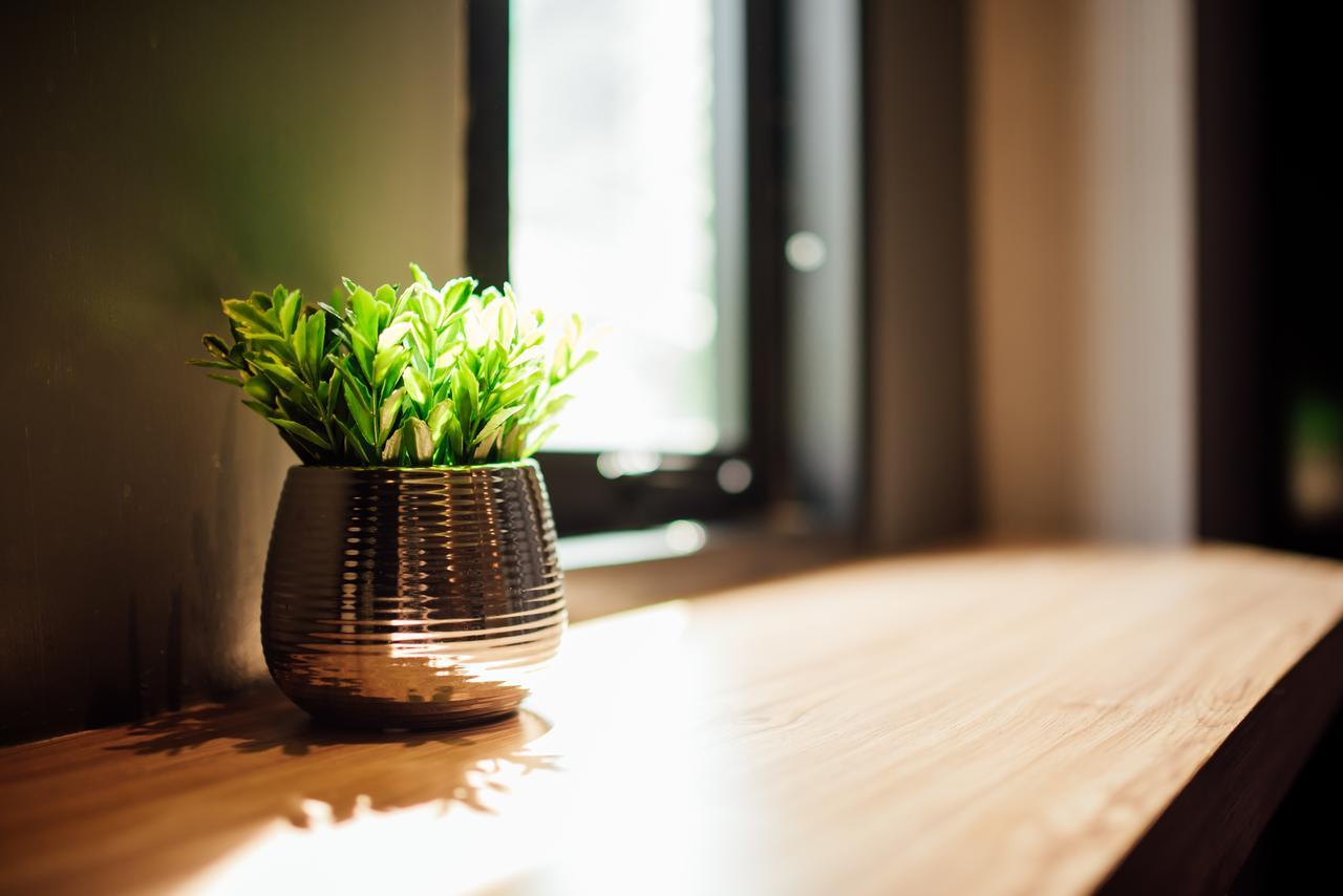 Le Terrarium Bed & Sleep Chiang Rai Hotel Ngoại thất bức ảnh